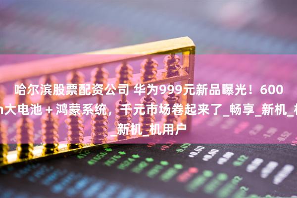 哈尔滨股票配资公司 华为999元新品曝光！6000mAh大电池＋鸿蒙系统，千元市场卷起来了_畅享_新机_机用户